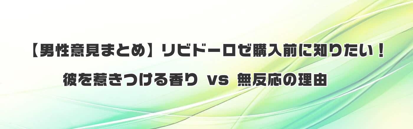 yjӌ܂Ƃ߁zrh[[wOɒm肽Iނ䂫鍁 vs ̗R